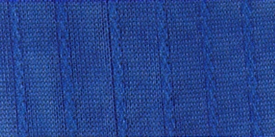 RoyalBlue